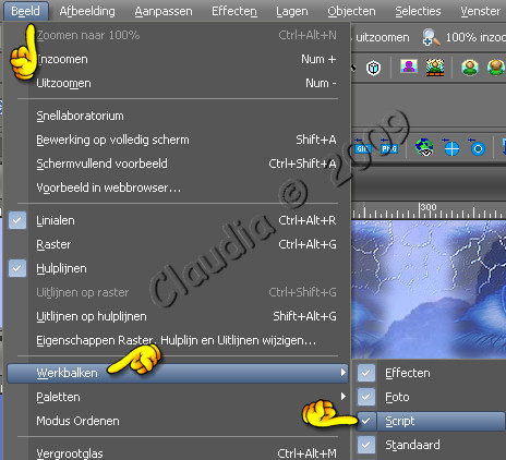 Script werkbalk activeren