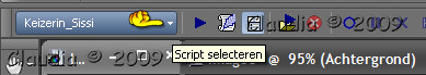 Opzoeken van scriptopname