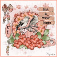 Klik op dit plaatje om de crea te zien op ware grootte.