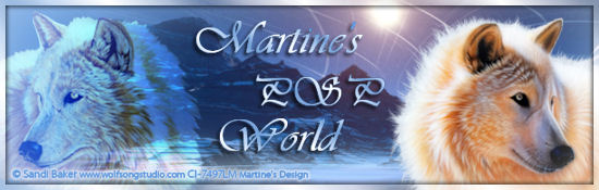 Martine's PSP World