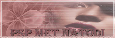 Natodi's Psp Site