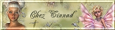 Klik hier om naar de site van Tinnad te