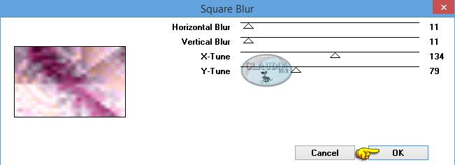 Instellingen filter Filter Factory Gallery H - Square Blur 