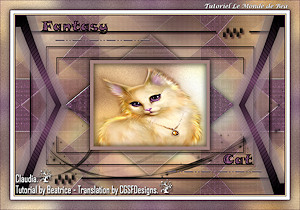 Les : Fantasy Cat van Beatrice