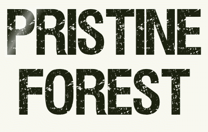 Titel Les : Pristine Forest