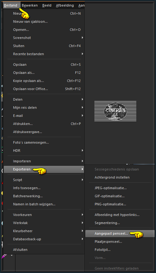 Bestand - Exporteren - Aangepast penseel