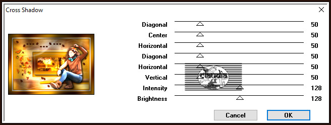 Effecten - Insteekfilters - Graphics Plus - Cross Shadow