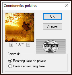 Effecten - Insteekfilters - Déformation - Coordonnées polaires