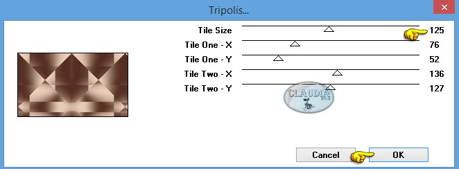 Instellingen filter VM Instant Art - Tripolis