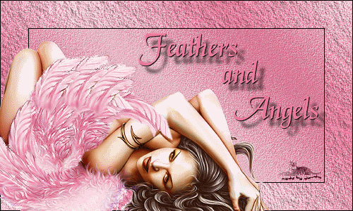 Titel Les : Feathers and Angels