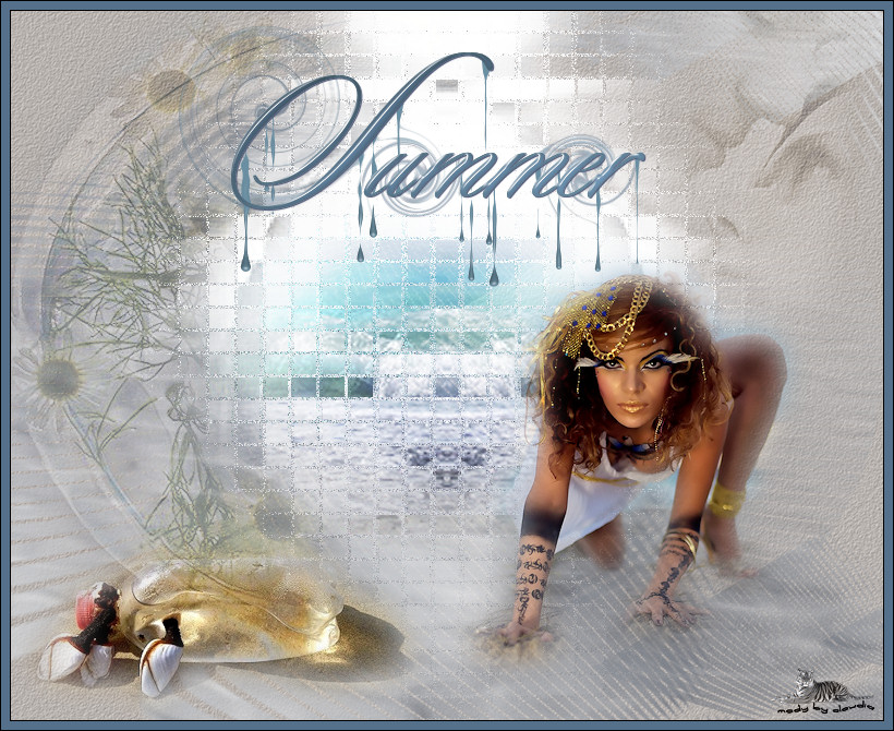 Les : Summer van Nikita