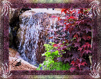 Les 42 : When Nature Calls