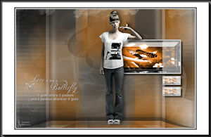 Les : Butterfly van Yvonne
