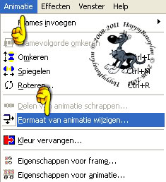 Wijzigen formaat van animatie