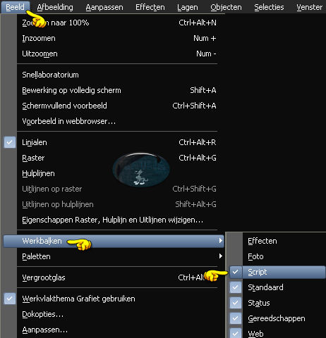 De Script werkbalk activeer je als volgt : Beeld - Werkbalken - Script