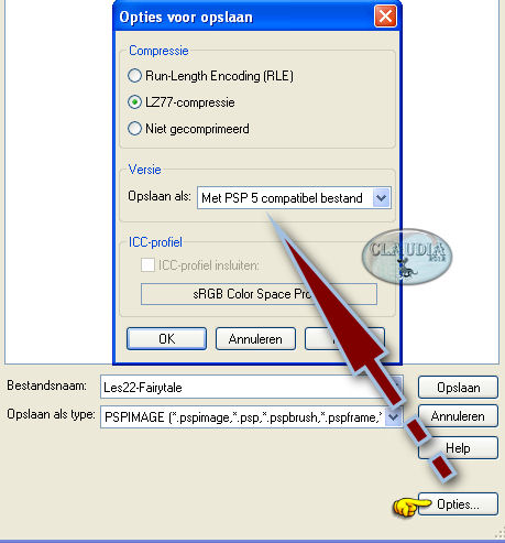 Bestand - Opslaan als ... en sla je werkje compatibel met PSP 5 op.