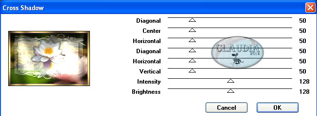 Instellingen filter Graphics Plus
