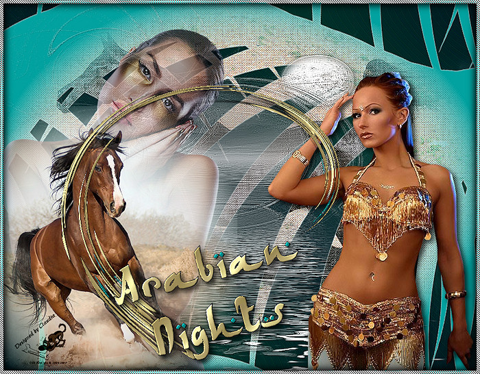 Les 38 : Arabian Nights