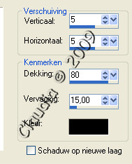 Instellingen Slagschaduw