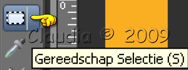 Activeer je Selectietool