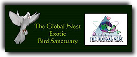 Bezoek ook eens zijn papegaaien-opvangcentrum door op onderstaande banner te klikken