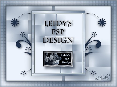 Leidy' s PSP Lessen