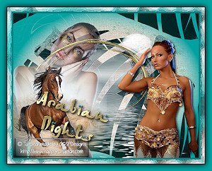 Les : Arabian Nights van Claudia