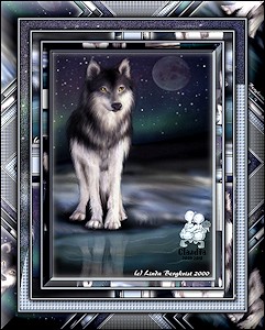Les : Wolf Frame van Claudia