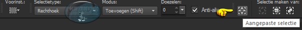 Activeer het Selectiegereedschap (of druk op de sneltoets S op het toetsenbord) - Aangepaste selectie