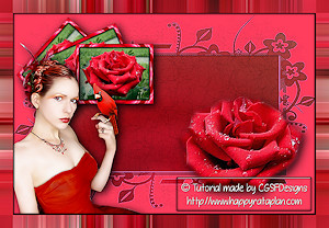 Les : Red Rose van Claudia