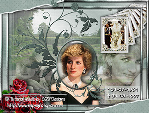 Les : Tribute to Diana - Princess of Wales van Claudia