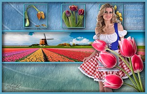 Les : Tulpen uit Holland