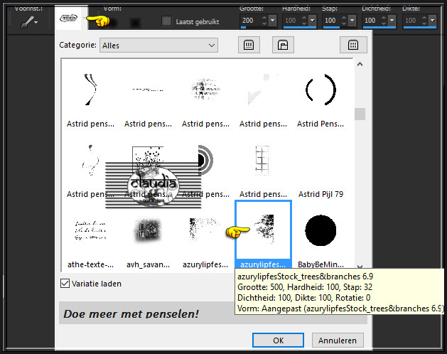 Activeer het Penseelgereedschap en zoek de zonet opgeslagen Brushe "azurylipfesStock_trees&branches 6.9" met deze instellingen