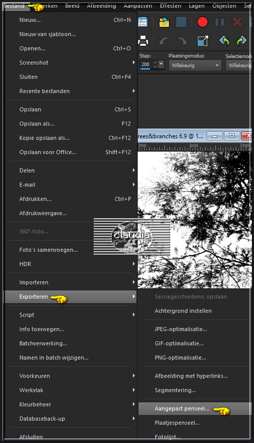 Bestand - Exporteren - Aangepast penseel