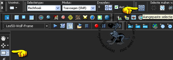 Activeer het Selectiegereedschap (toets S op het toetsenbord) - Aangepaste selectie