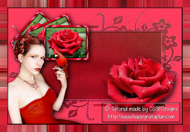 Les :  Red Rose van Claudia