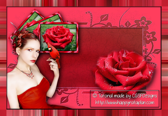 Les : Red Rose van Claudia