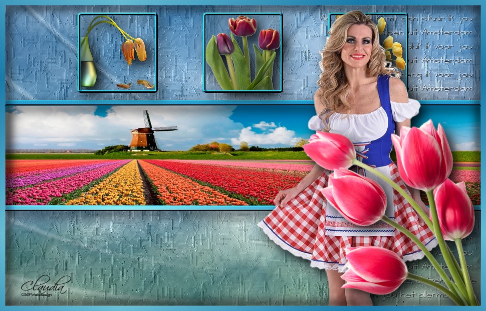 Les : Tulpen uit Holland