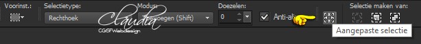 Selectiegereedschap - Aangepaste selectie