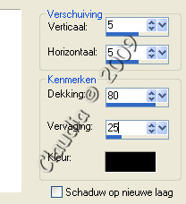 Instellingen Slagschaduw