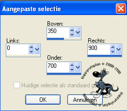 Instellingen Aangepaste Selectie