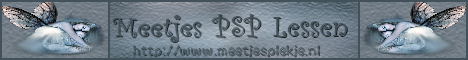 Banner Meetjes PSP Lessen