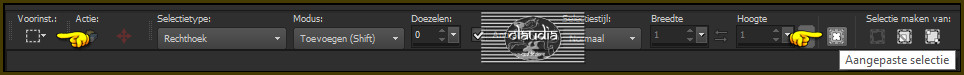 Activeer het Selectiegereedschap (toets S op het toetsenbord) - Aangepaste selectie