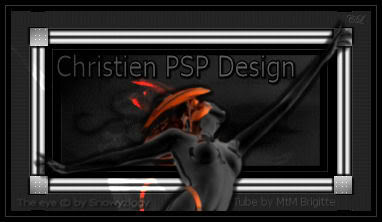 Psp Lessen van Christien