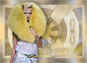 Les : Collar of Fur  van Meetje