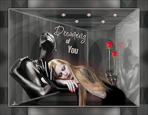 Les : Dreaming of you van Meetje