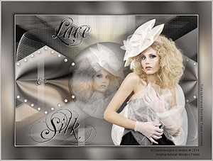 Les : Lace & Silk van Meetje