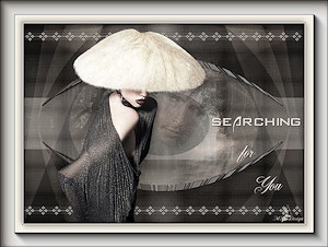 Les : Searching for you van Meetje