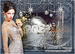 Les : Happy New Year 2022 van Claudia