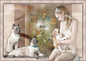 Les : Love Cats van Catrien